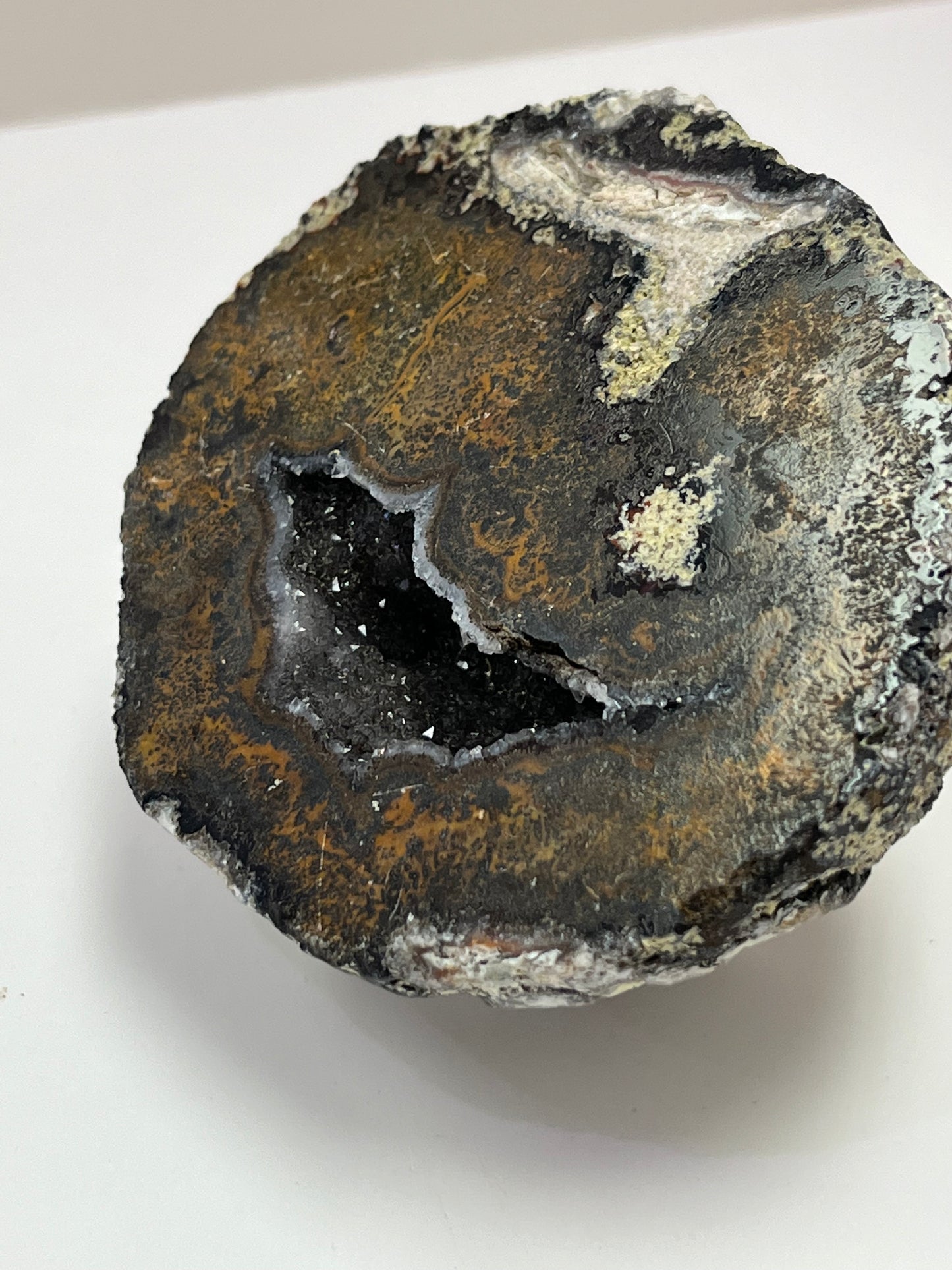 Coconut Geode Polished Half (Las Choyas), choose your own