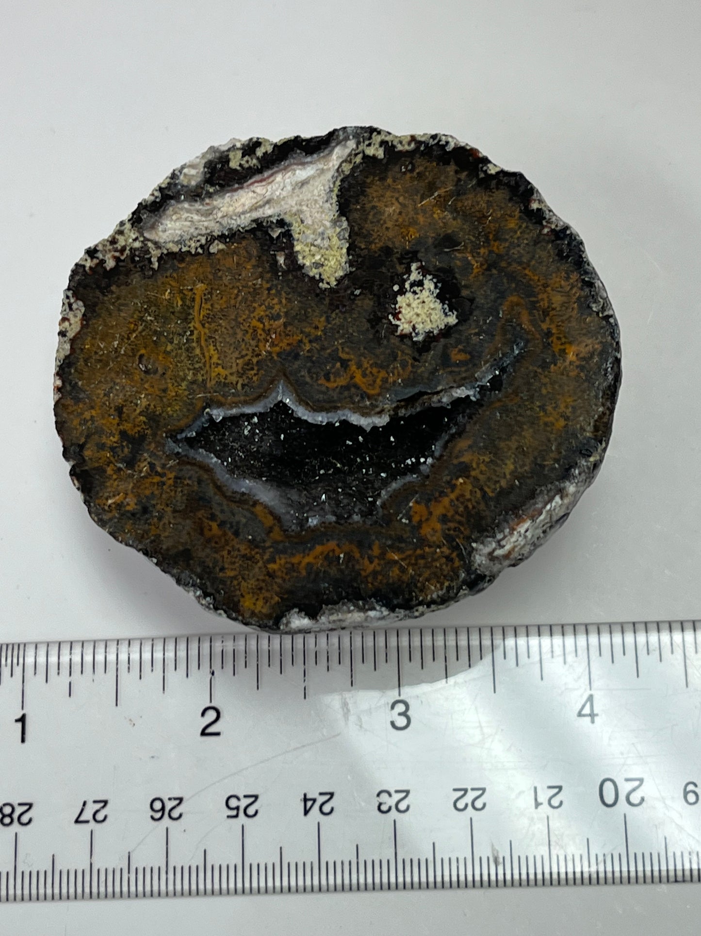 Coconut Geode Polished Half (Las Choyas), choose your own