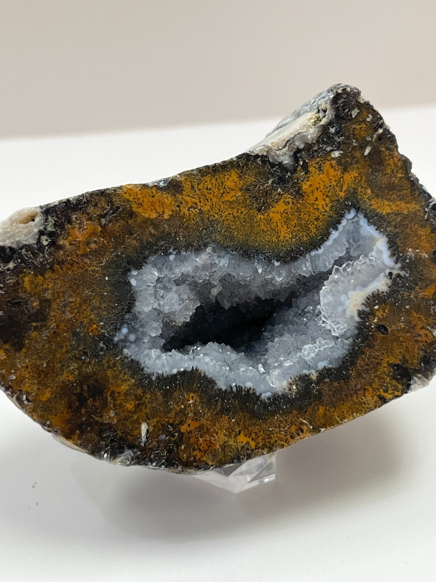 Coconut Geode Polished Half (Las Choyas), choose your own
