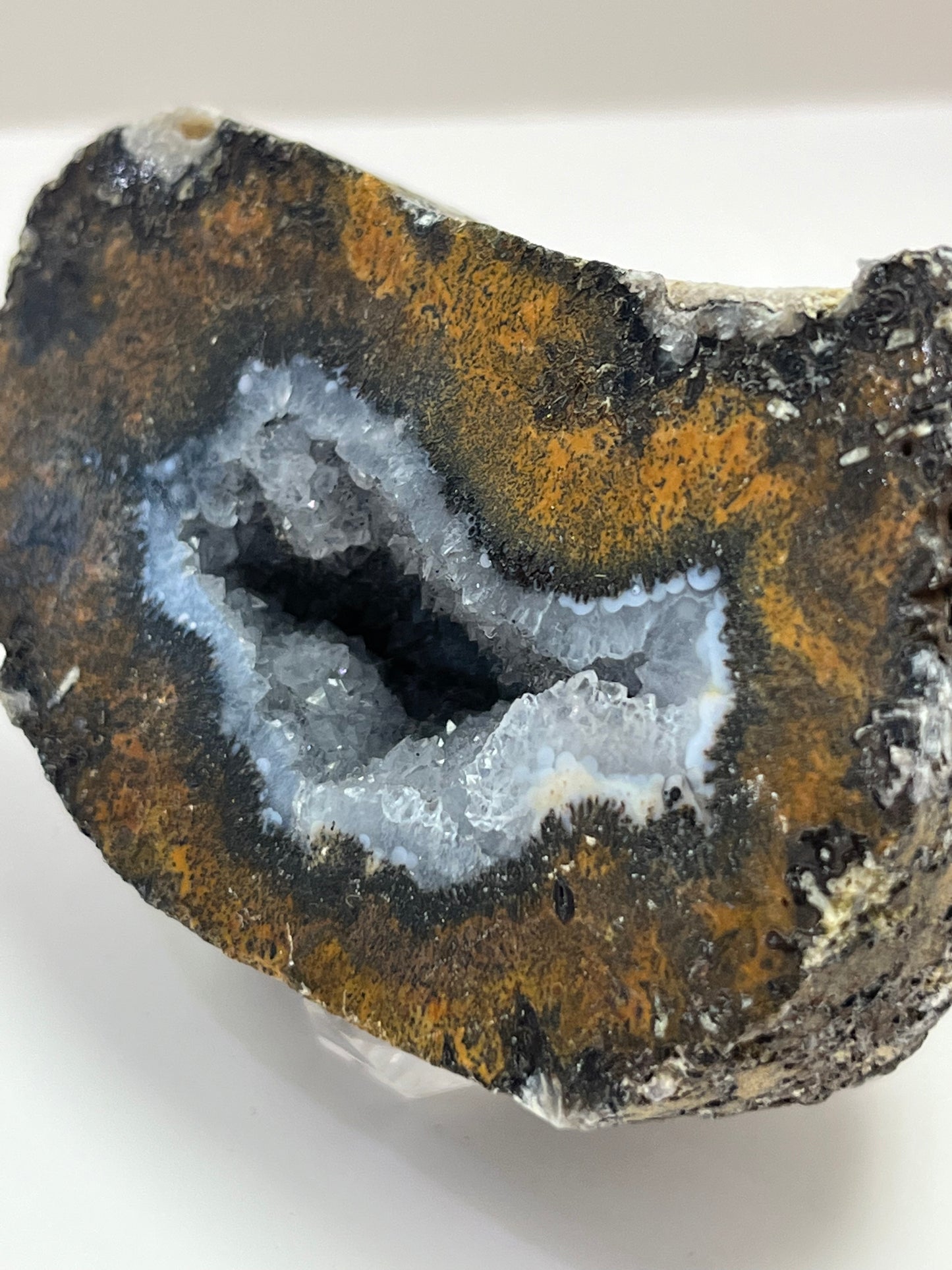Coconut Geode Polished Half (Las Choyas), choose your own