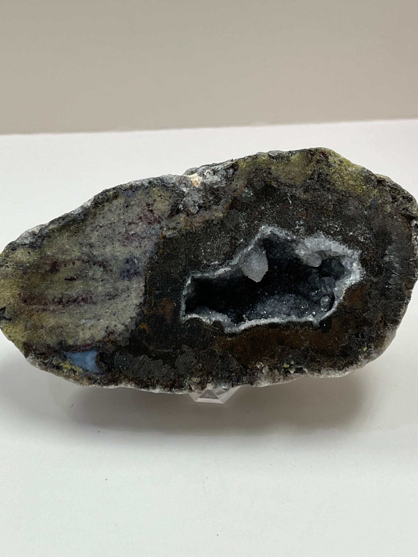 Coconut Geode Polished Half (Las Choyas), choose your own