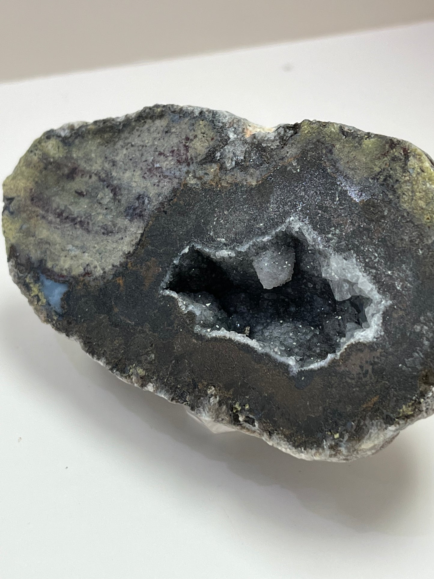 Coconut Geode Polished Half (Las Choyas), choose your own