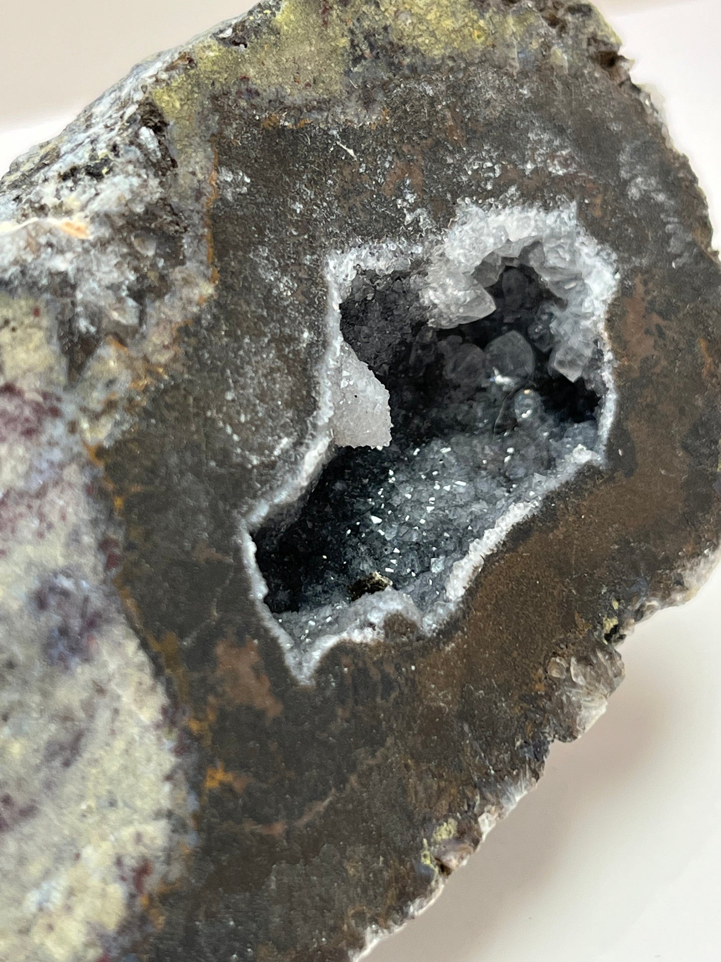 Coconut Geode Polished Half (Las Choyas), choose your own