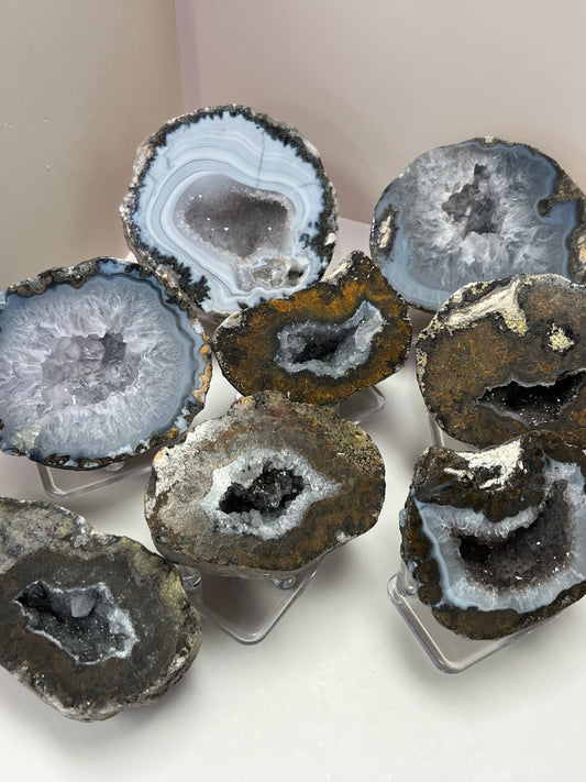 Coconut Geode Polished Half (Las Choyas), choose your own