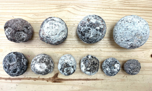 Whole Las Choyas/Coconut Geode for Cracking--Choose your size