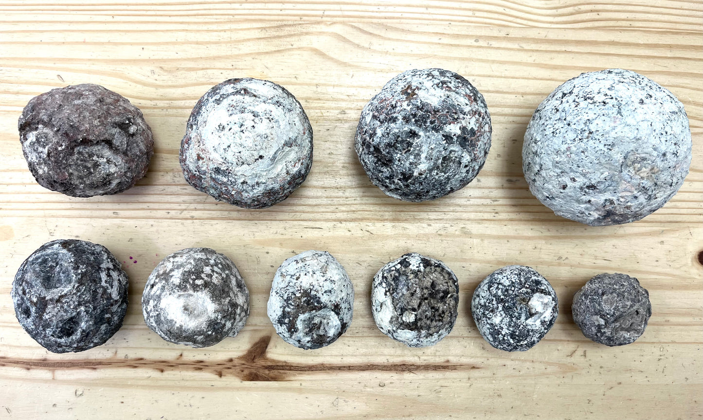 Whole Las Choyas/Coconut Geode for Cracking--Choose your size