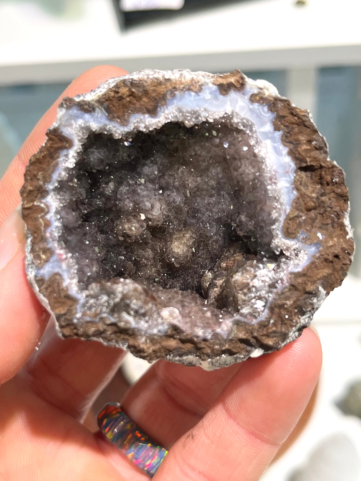 Whole Las Choyas/Coconut Geode for Cracking--Choose your size