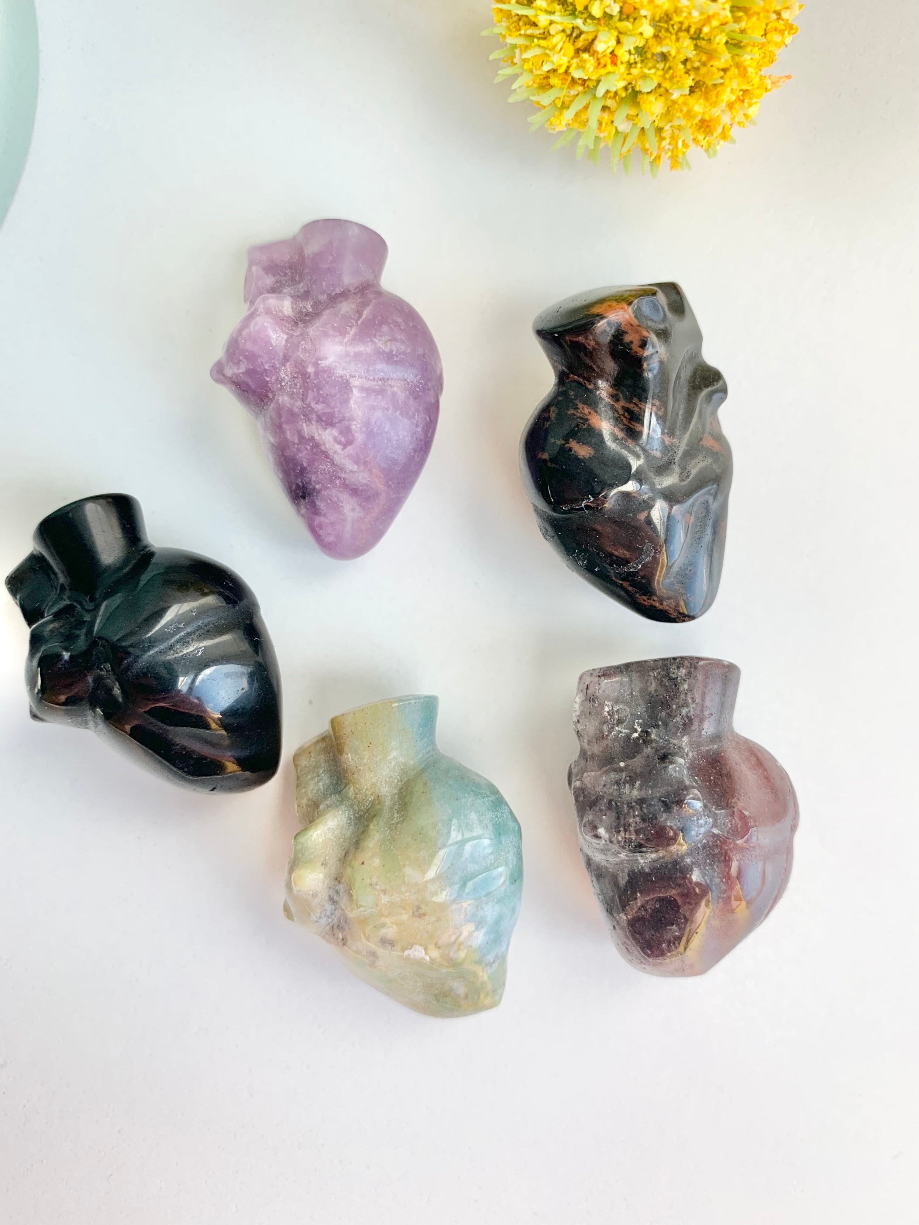 Mini Anatomical Heart Carving – Midwest Shores
