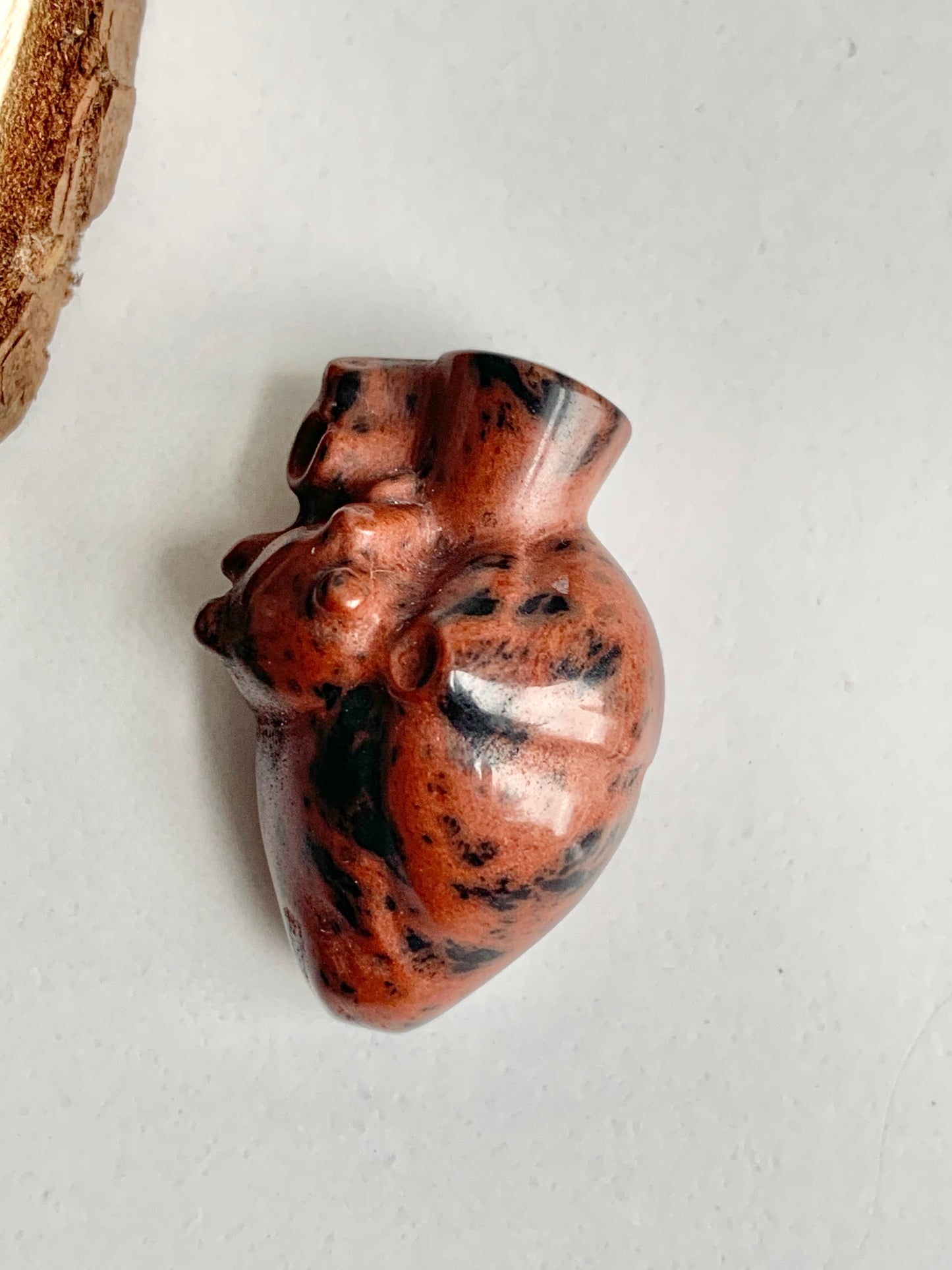 Mini Anatomical Heart Carving