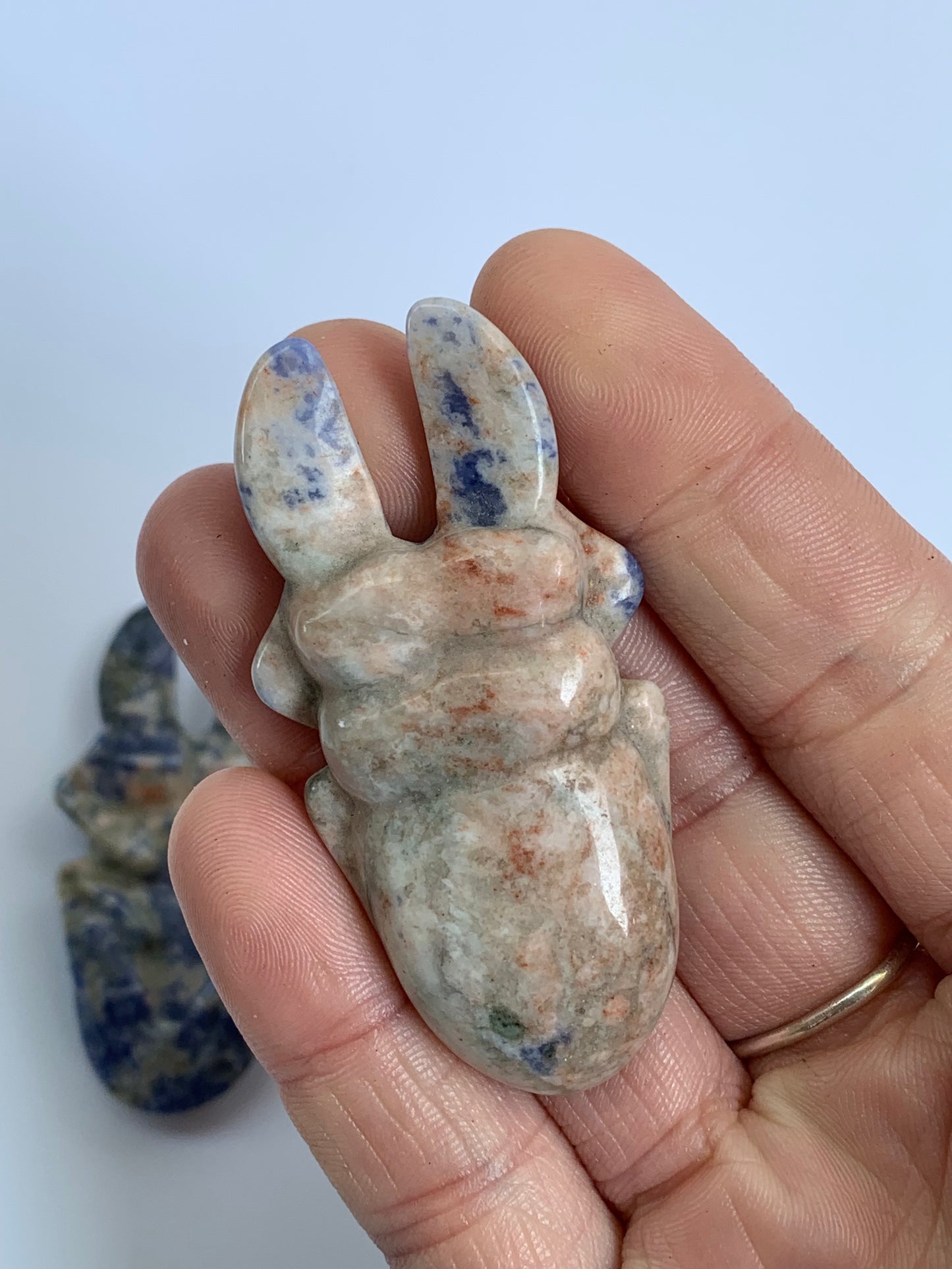 Sodalite Beetle Carving