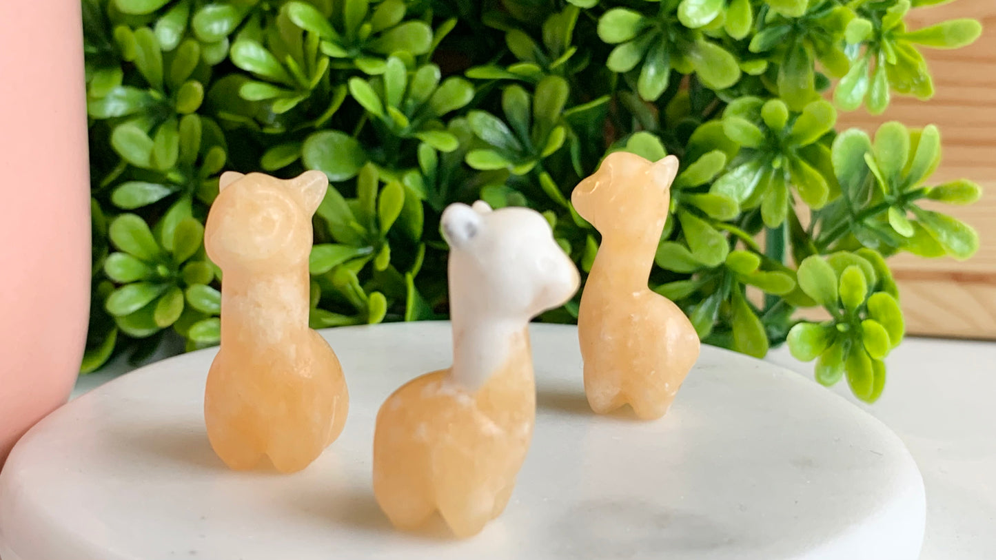 Mini Llama/Alpaca Carving