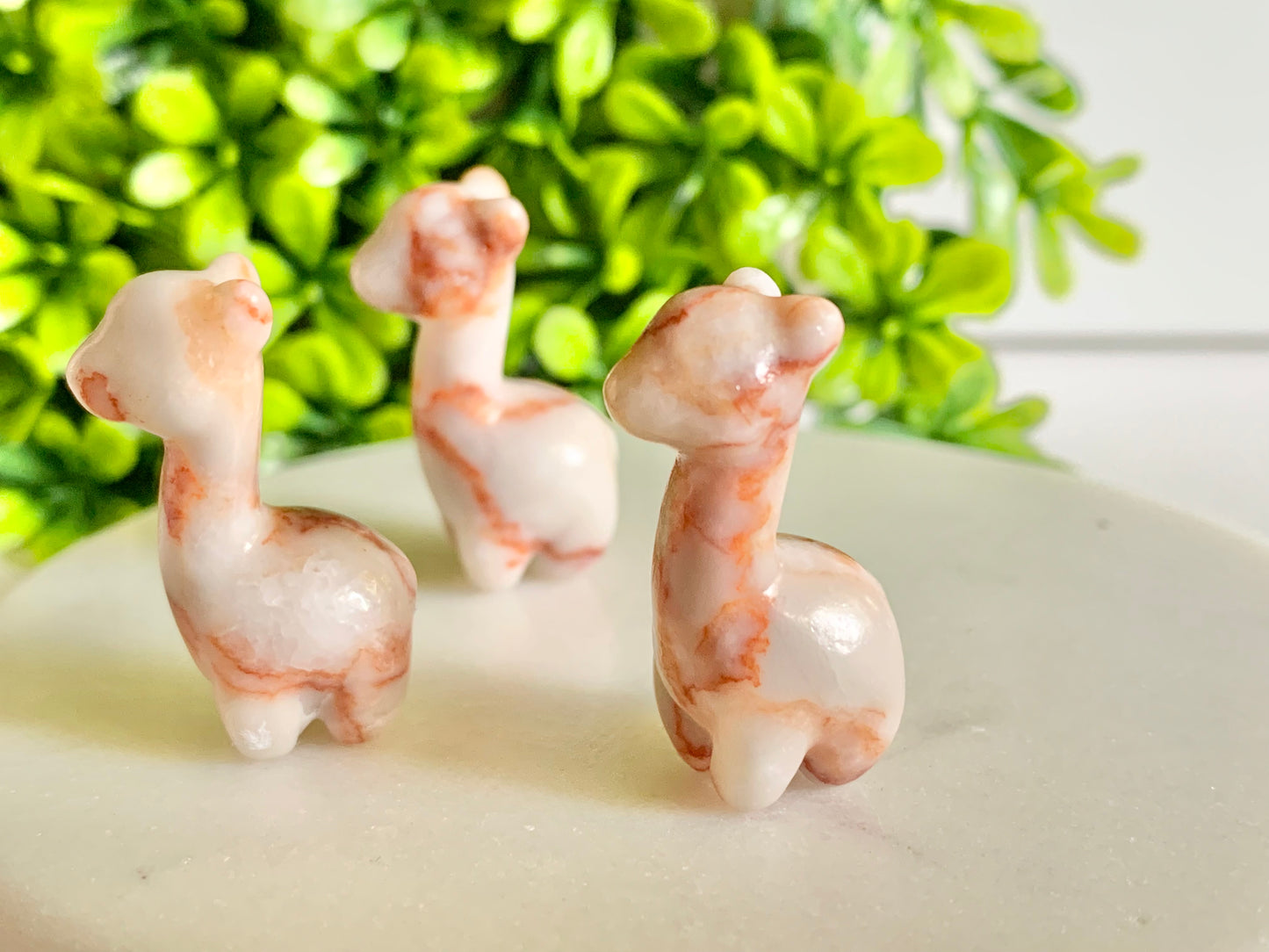 Mini Llama/Alpaca Carving