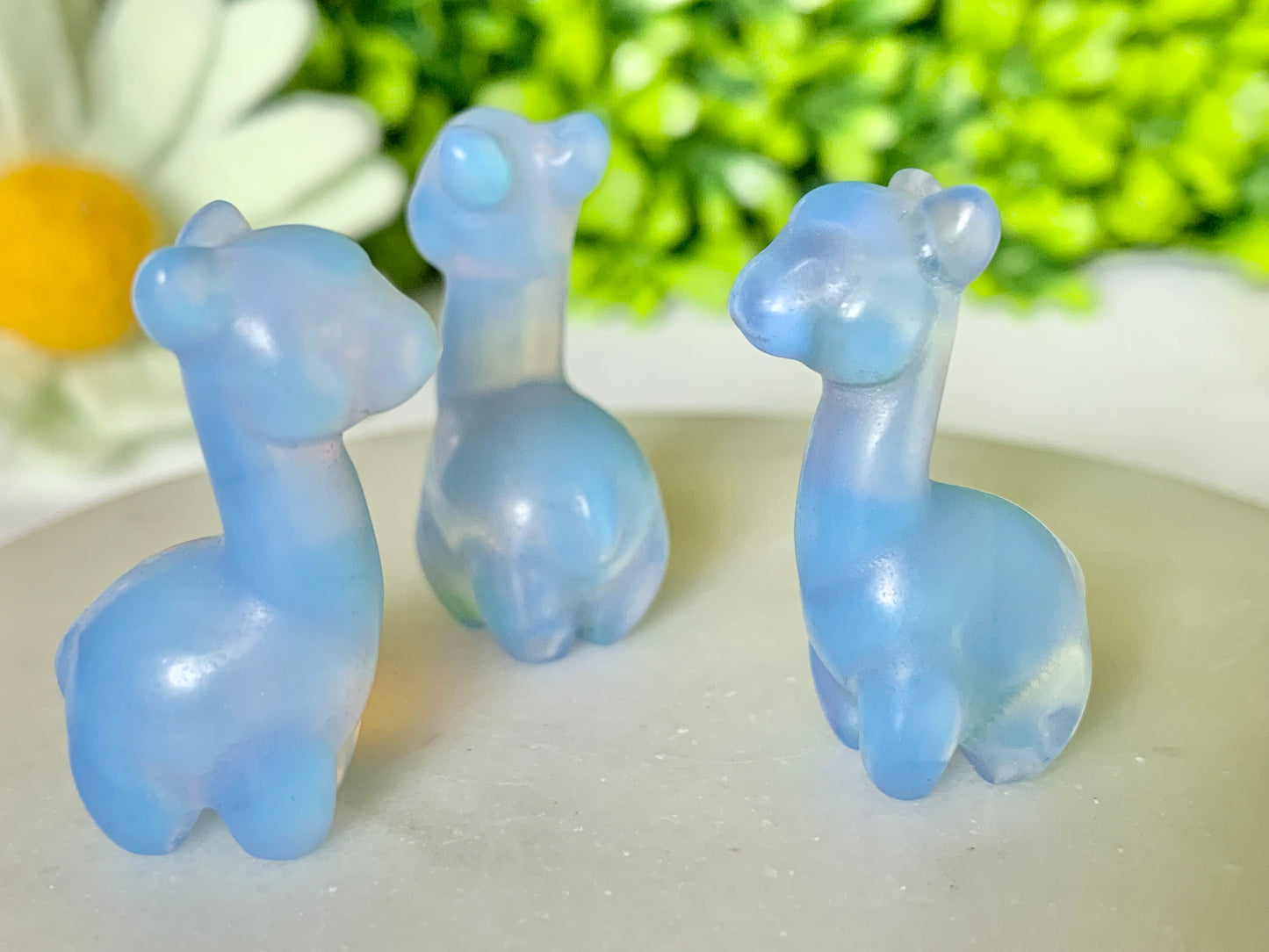 Mini Llama/Alpaca Carving