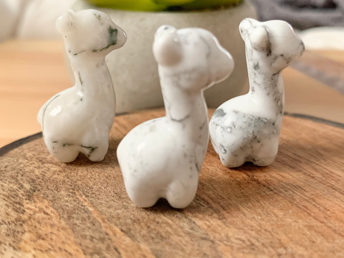 Mini Llama/Alpaca Carving
