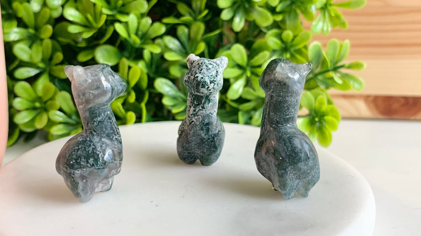 Mini Llama/Alpaca Carving
