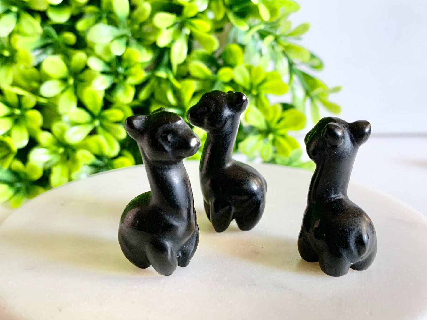 Mini Llama/Alpaca Carving