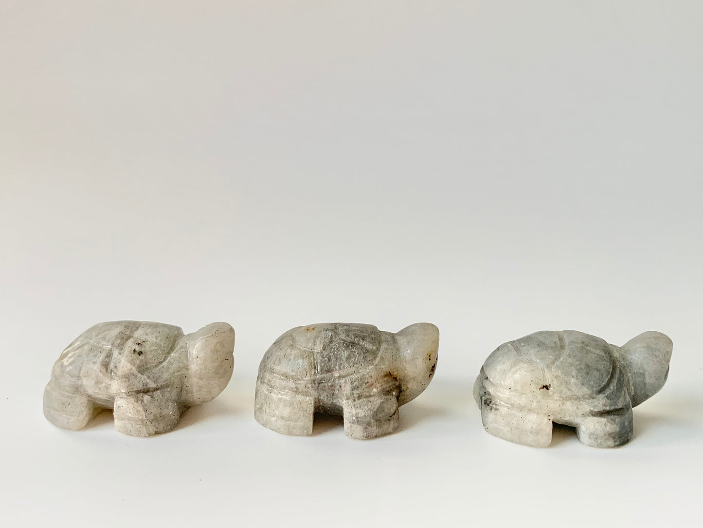 Mini Turtle Carving