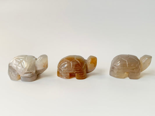 Mini Turtle Carving