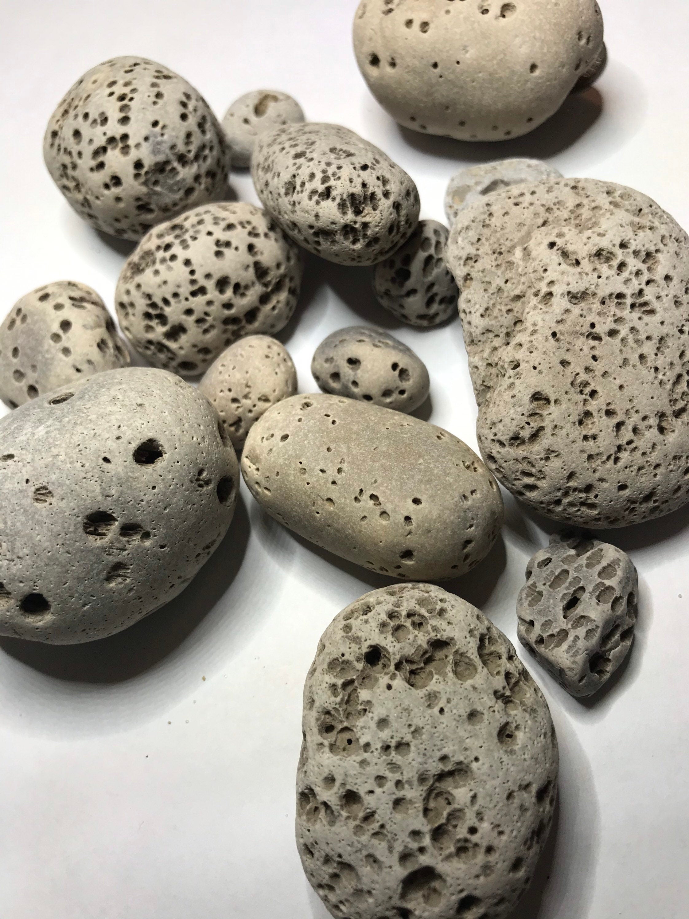 Visicular Rocks Vesicular Rocks (1lb), Rocks with holes, Lake Michigan rocks – Midwest ...