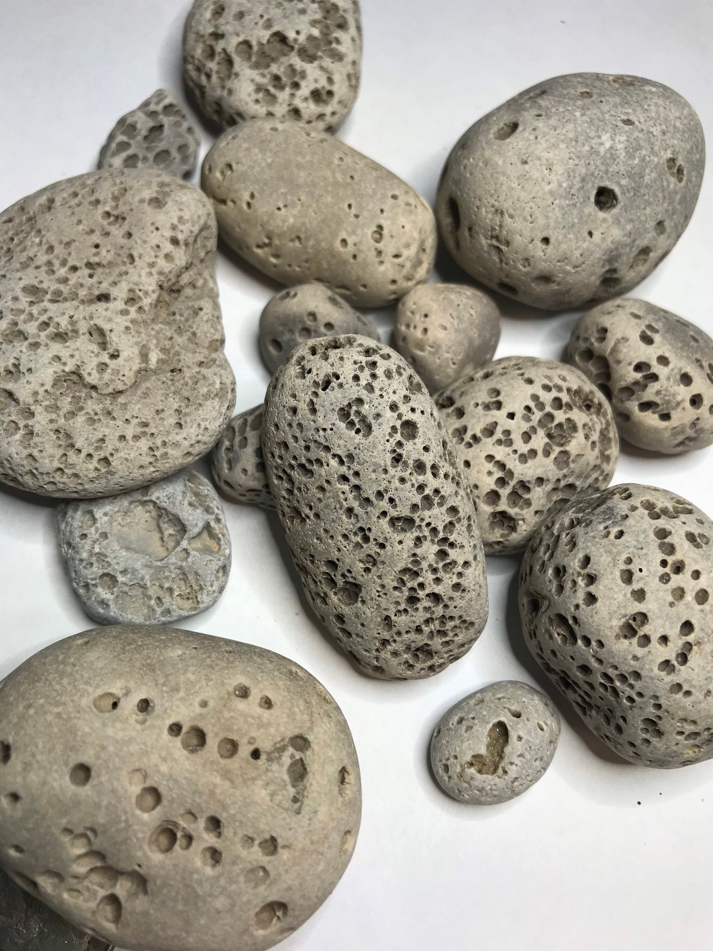 Vesicular Rocks (1lb), Rocks with holes, Lake Michigan rocks