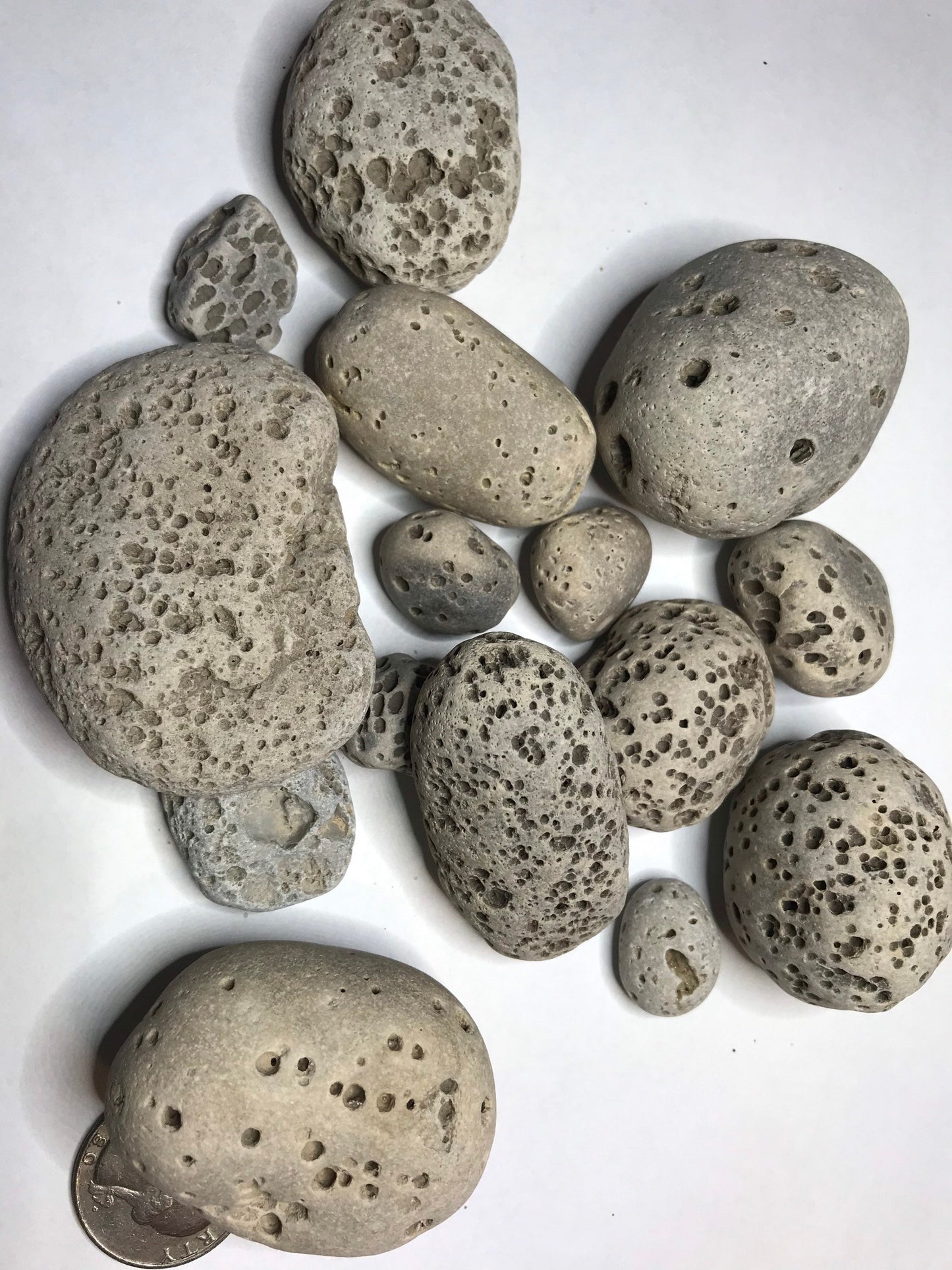 Vesicular Rocks (1lb), Rocks with holes, Lake Michigan rocks