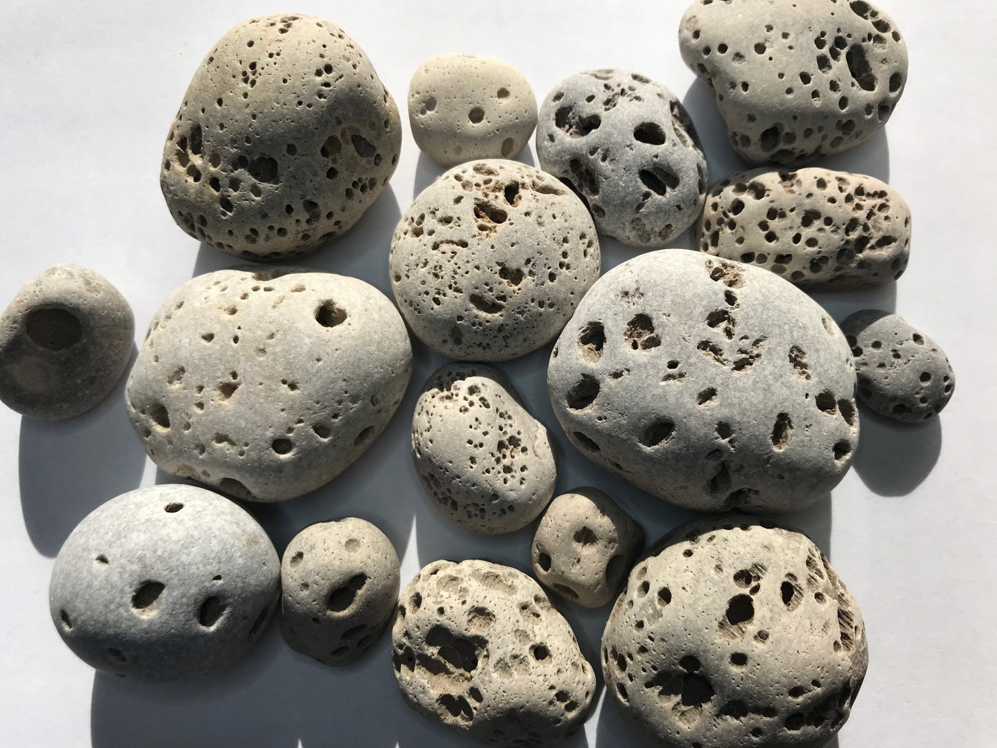 Vesicular Rocks (1lb), Rocks with holes, Lake Michigan rocks