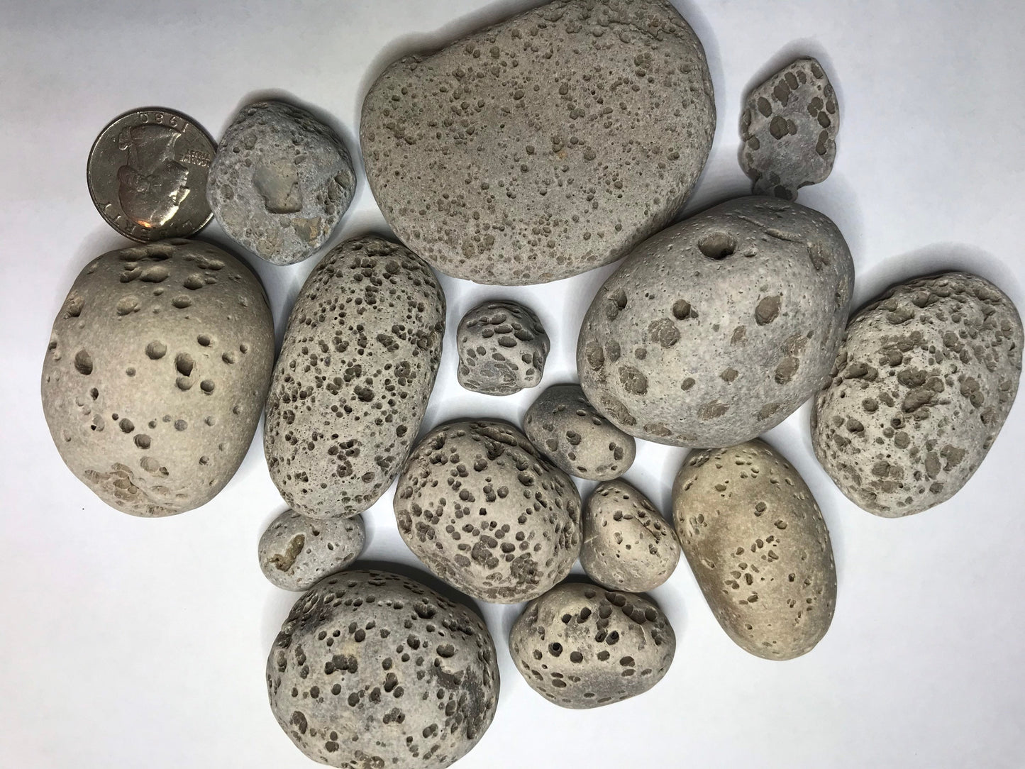 Vesicular Rocks (1lb), Rocks with holes, Lake Michigan rocks