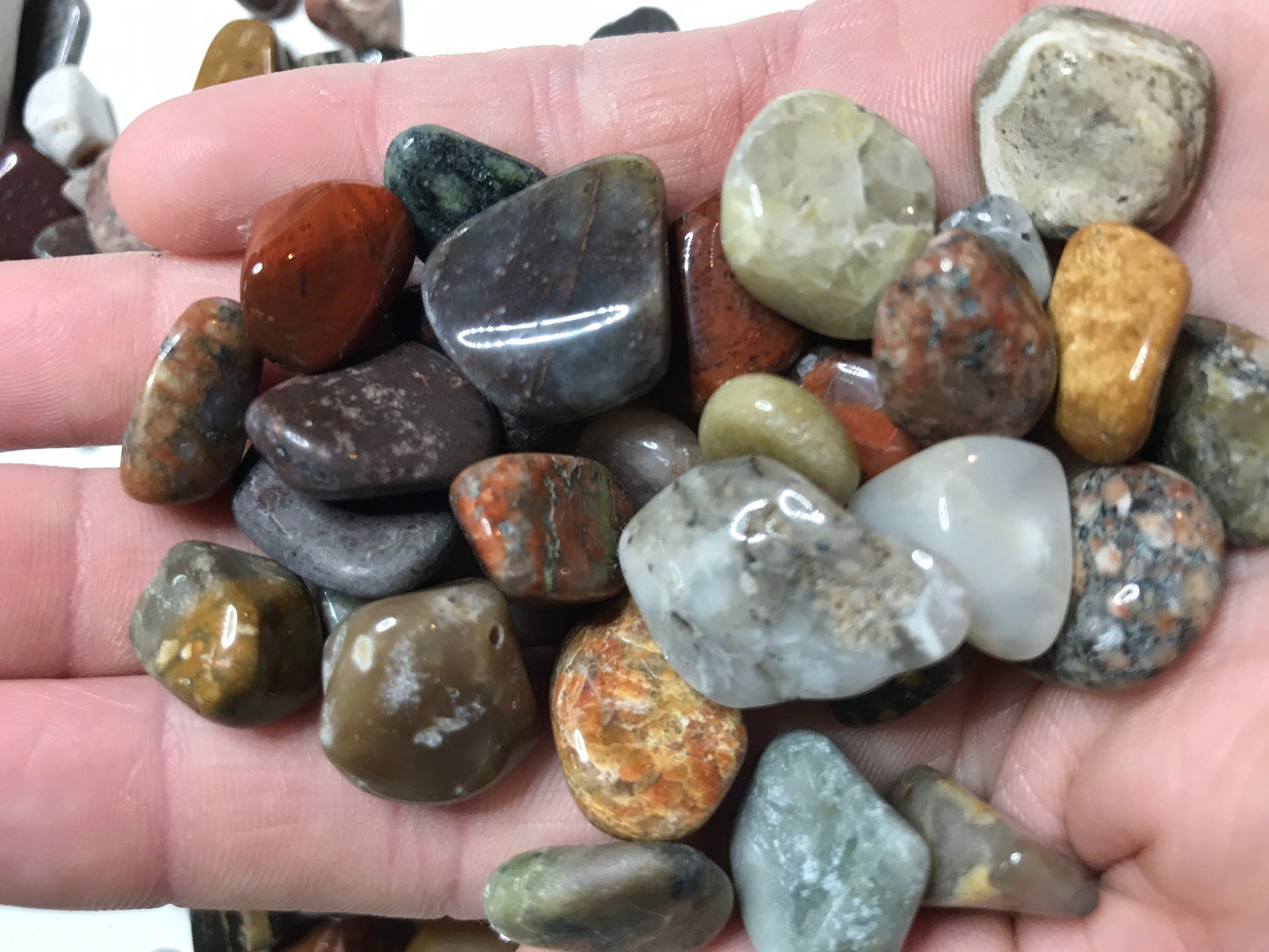 Small Polished Lake Michigan Stones (Tiny Treasures)