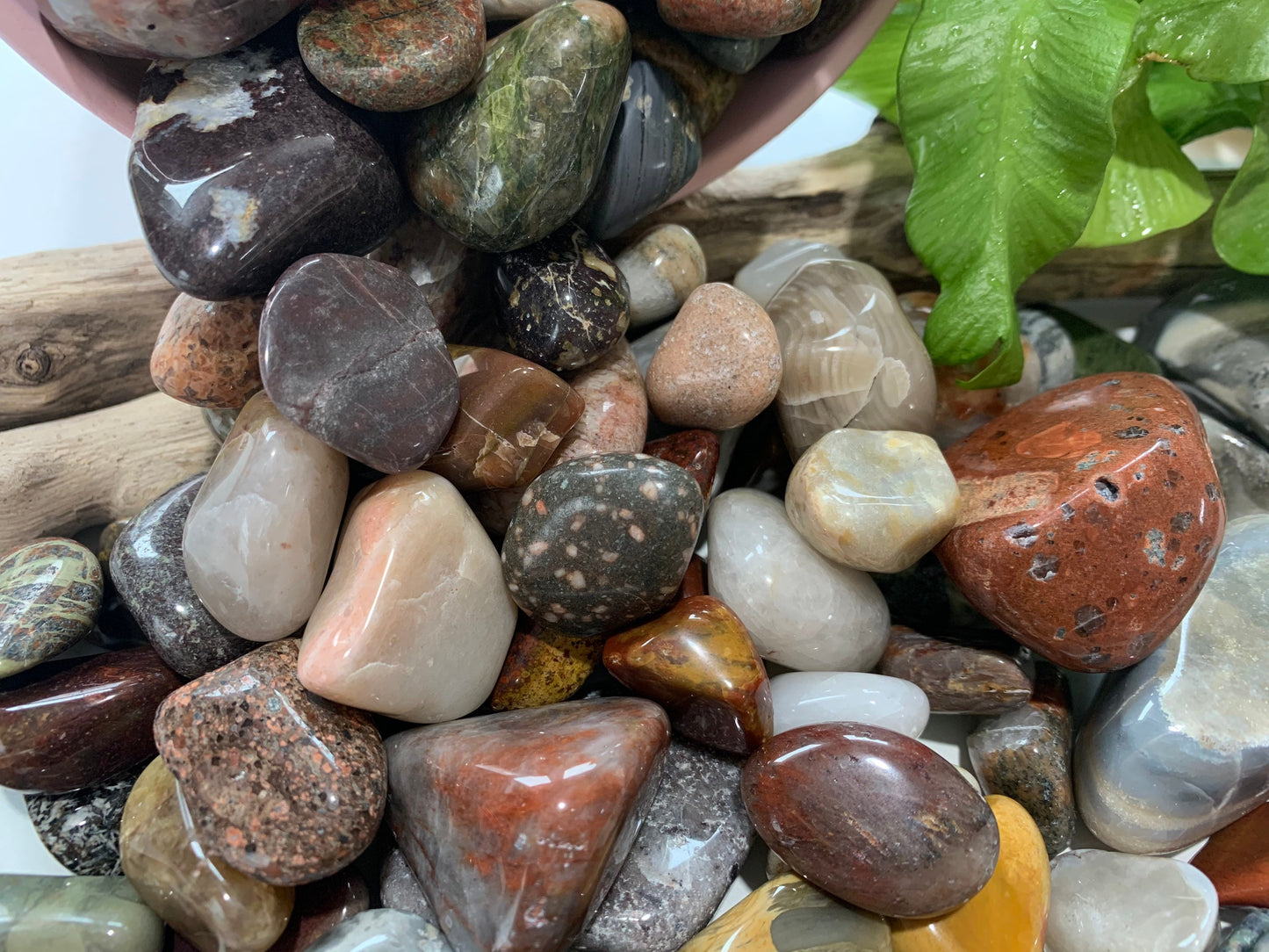 Polished Great Lakes Stones (1lb), Assorted Polished Rocks, Lake Michigan rocks