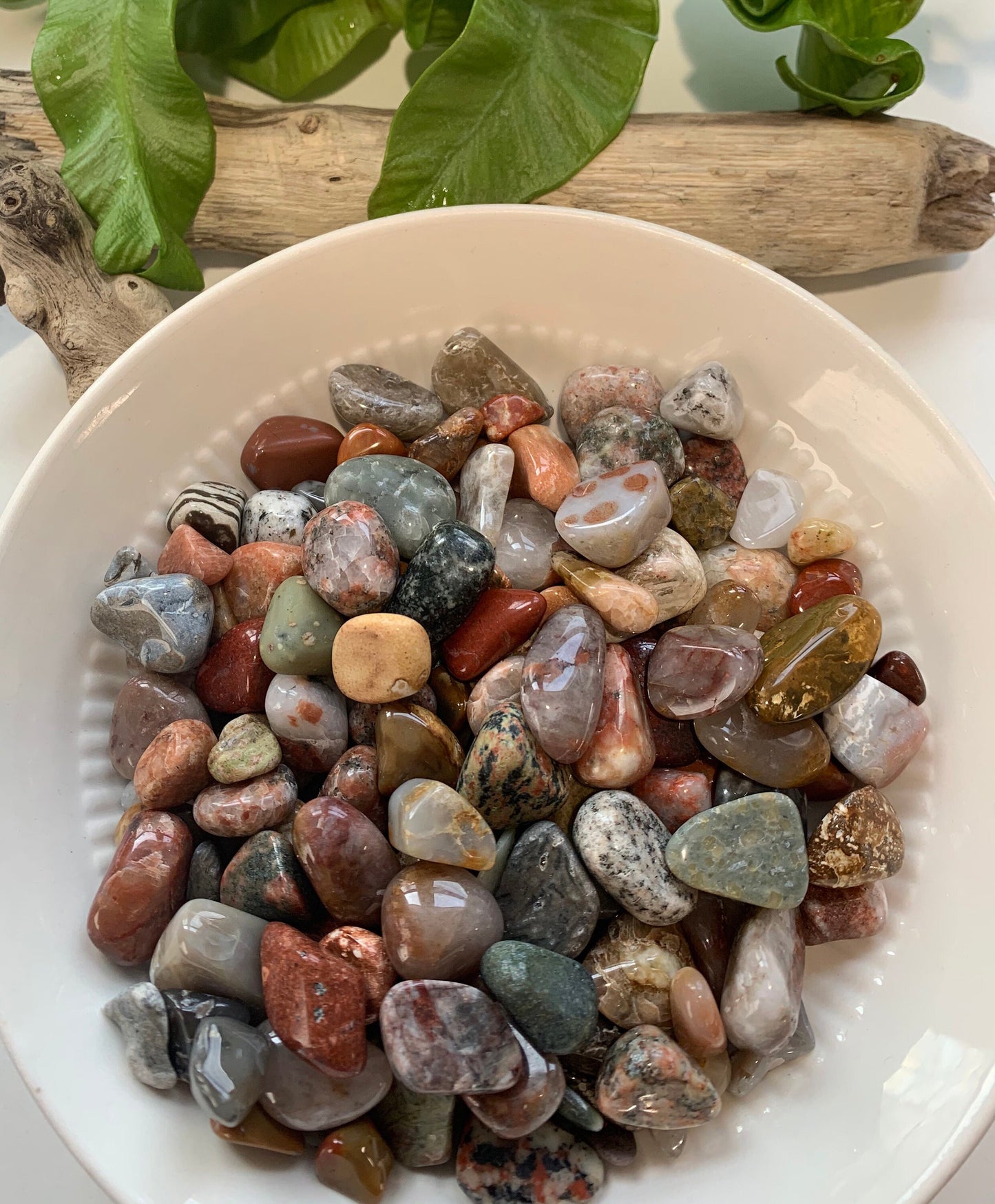 Small Polished Lake Michigan Stones (Tiny Treasures)