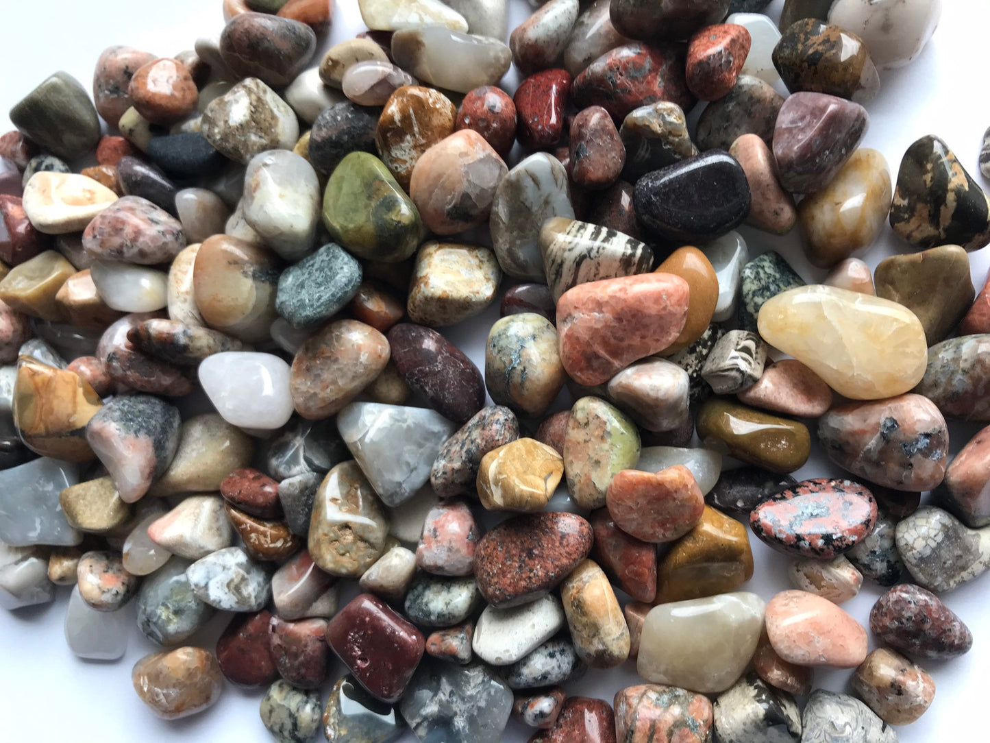 Small Polished Lake Michigan Stones (Tiny Treasures)