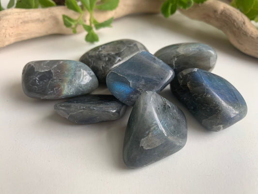 Labradorite tumbles, polished labradorite rocks, rocks and minerals, labradorite stones, flashy rocks, pocket rocks