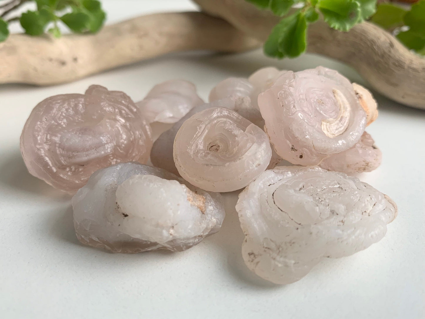 Polished Chalcedony roses, various sizes