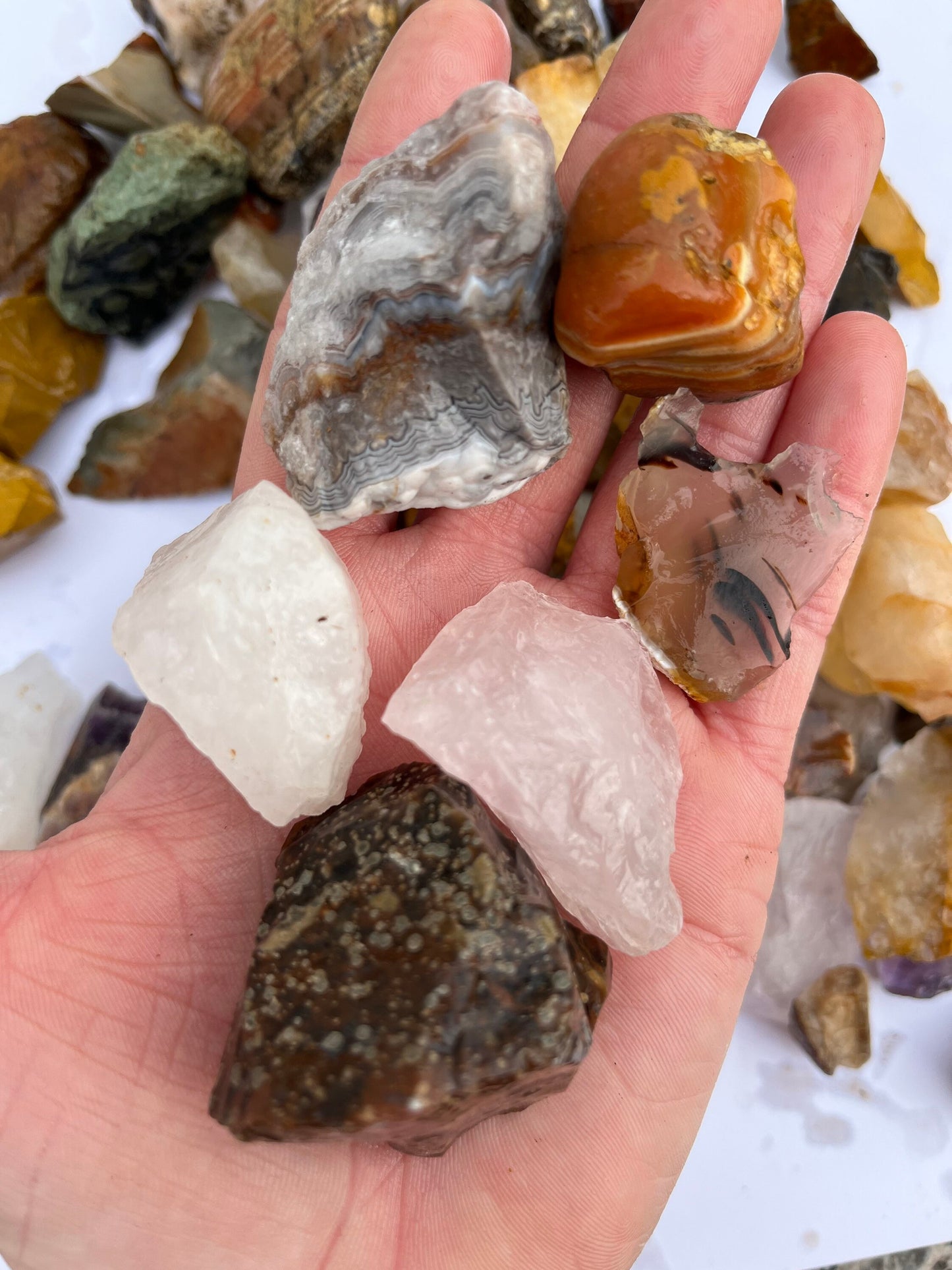 3+ pounds rough agate, jasper, quartz stone mix for tumbling or display