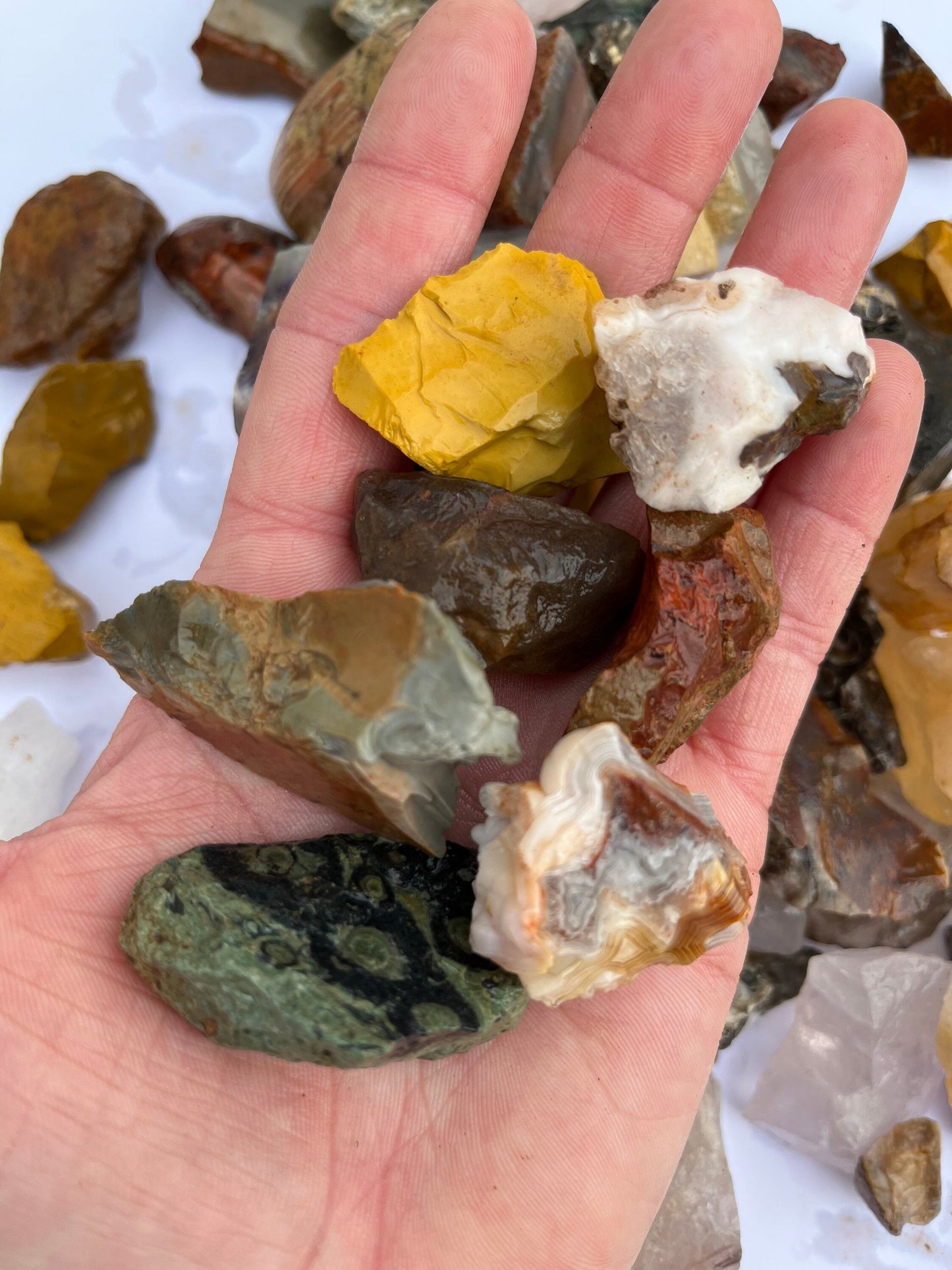 3+ pounds rough agate, jasper, quartz stone mix for tumbling or display