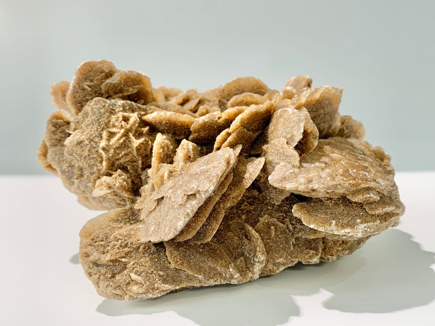 Desert Rose Cluster