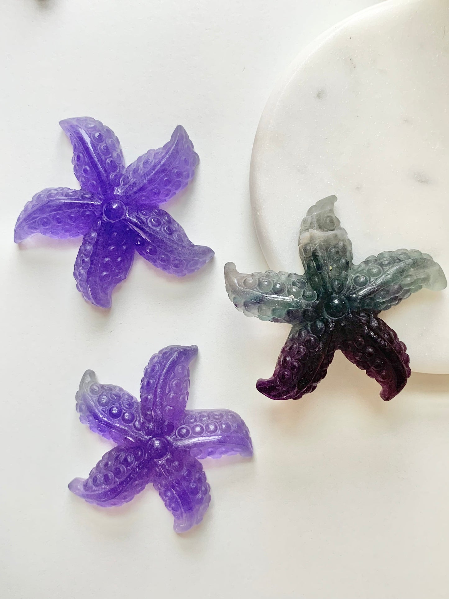 Starfish/Sea Star Carving
