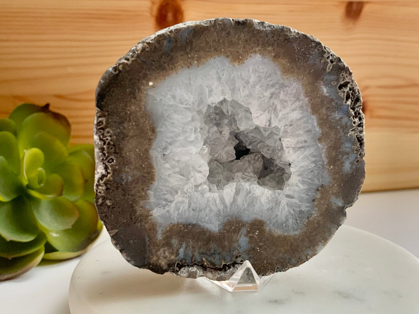 Quartz Coconut Geode, Cut and Polished WYSIWYG