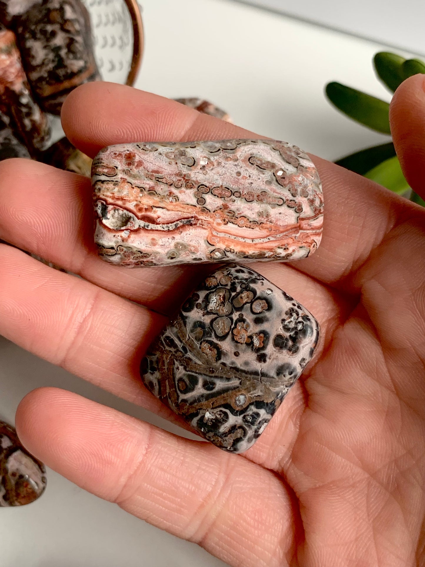 Leopardskin Jasper