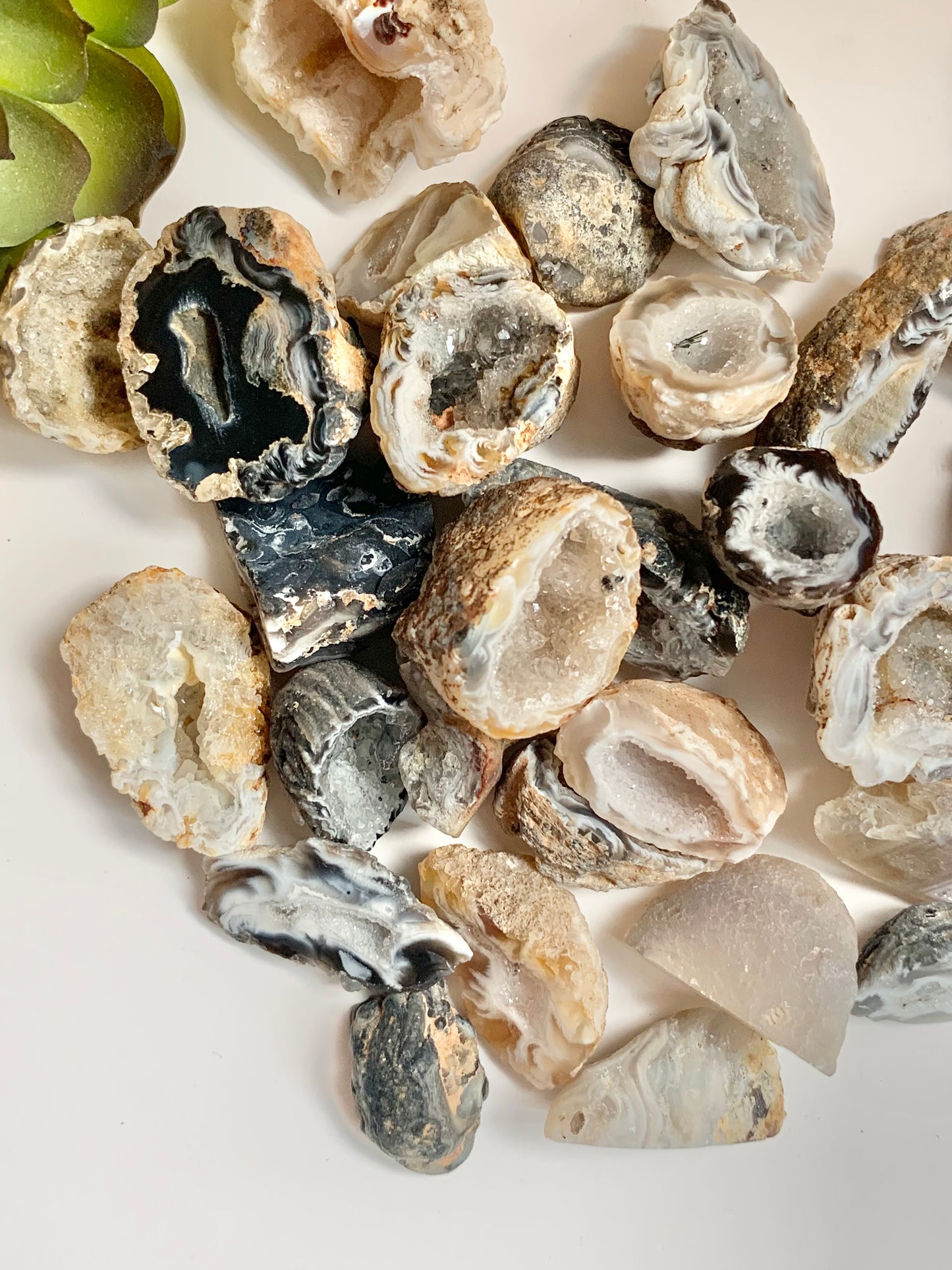 Oco Geode Half, polished