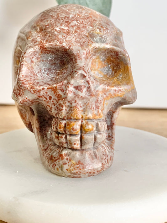 Red Spotted Skull