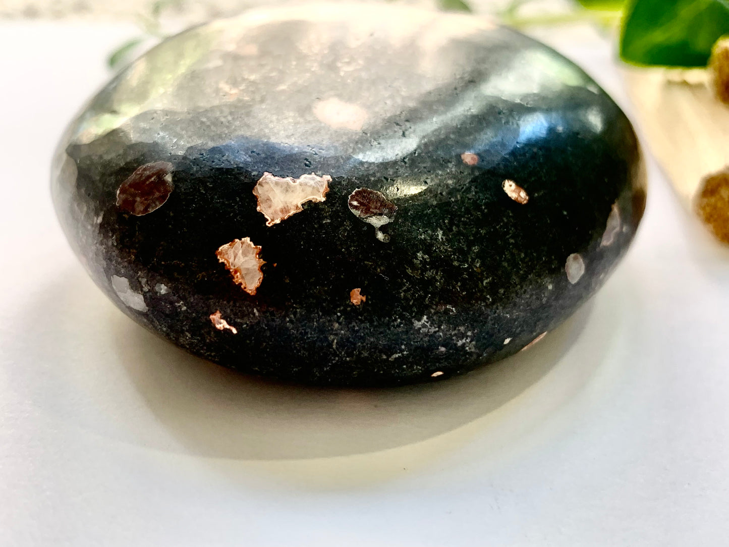 Amygdaloidal Basalt with Agate Large Palmstone