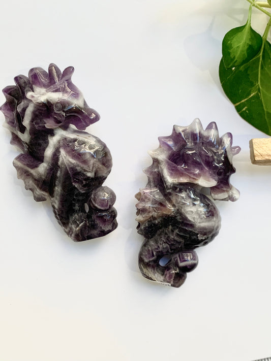 Chevron Amethyst Seahorse Carving