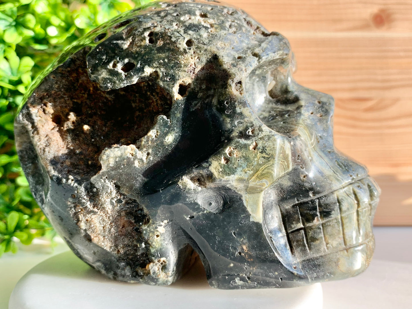 Ocean Jasper Skull