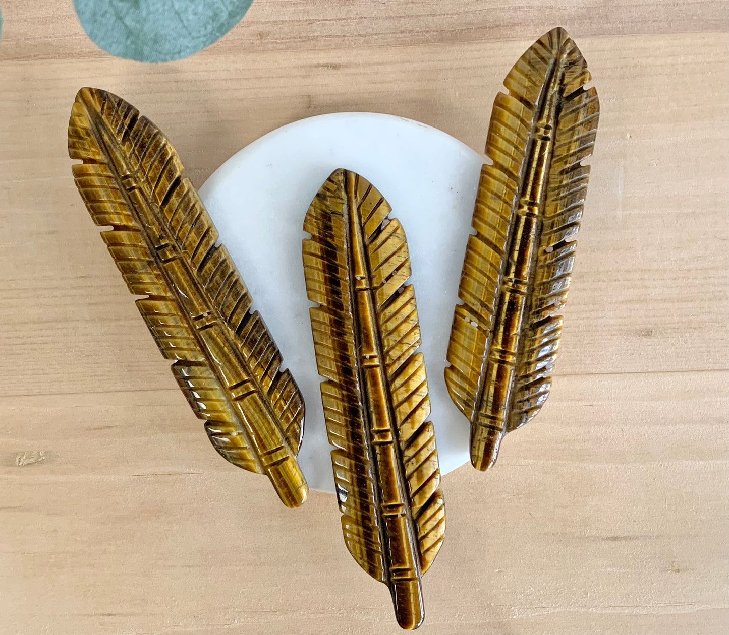 Tiger's Eye Feather Carving