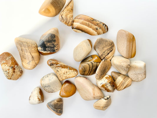 Picture Jasper Tumbles
