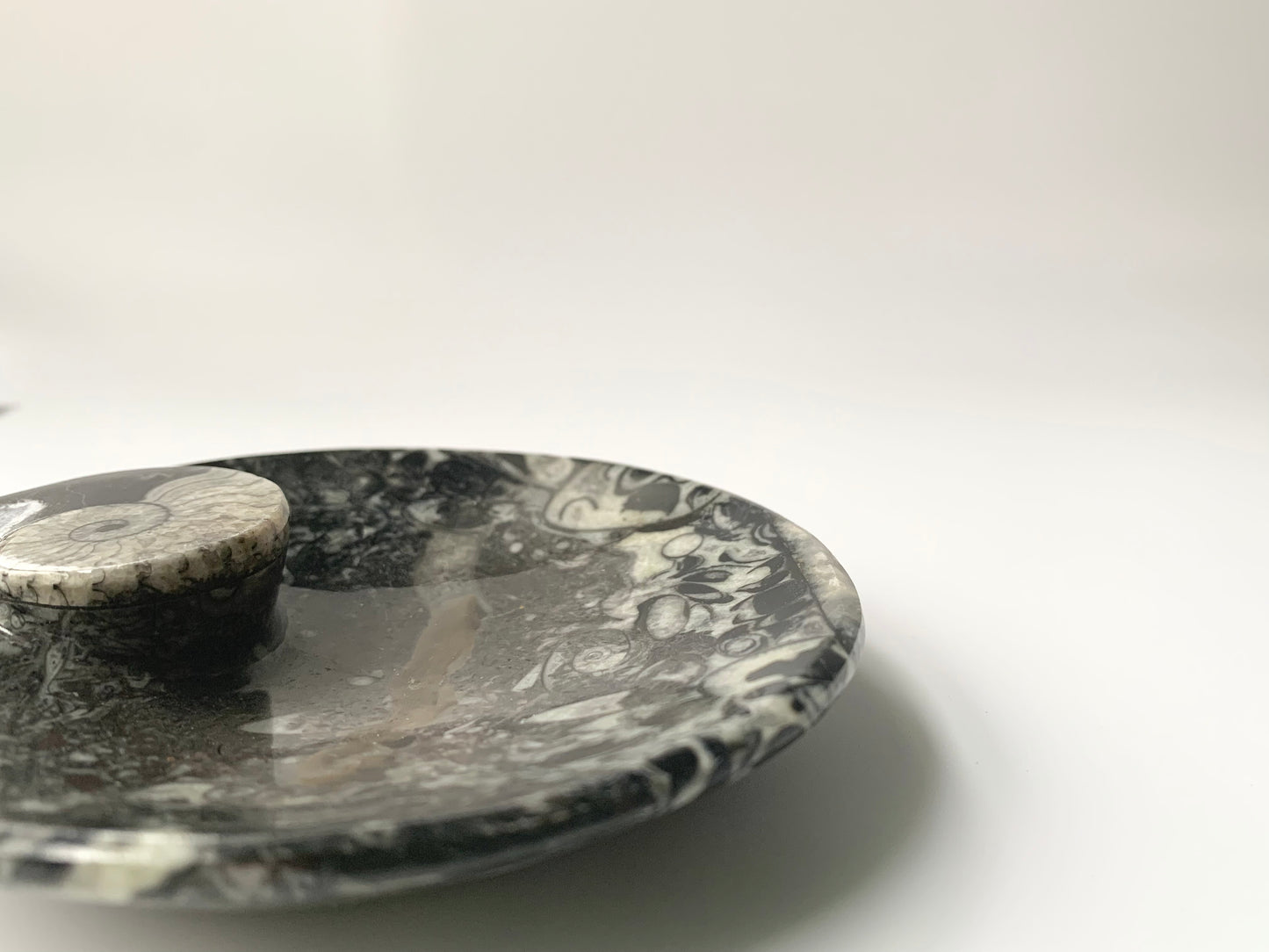 Goniatite Fossil Dish, 3.5-4"