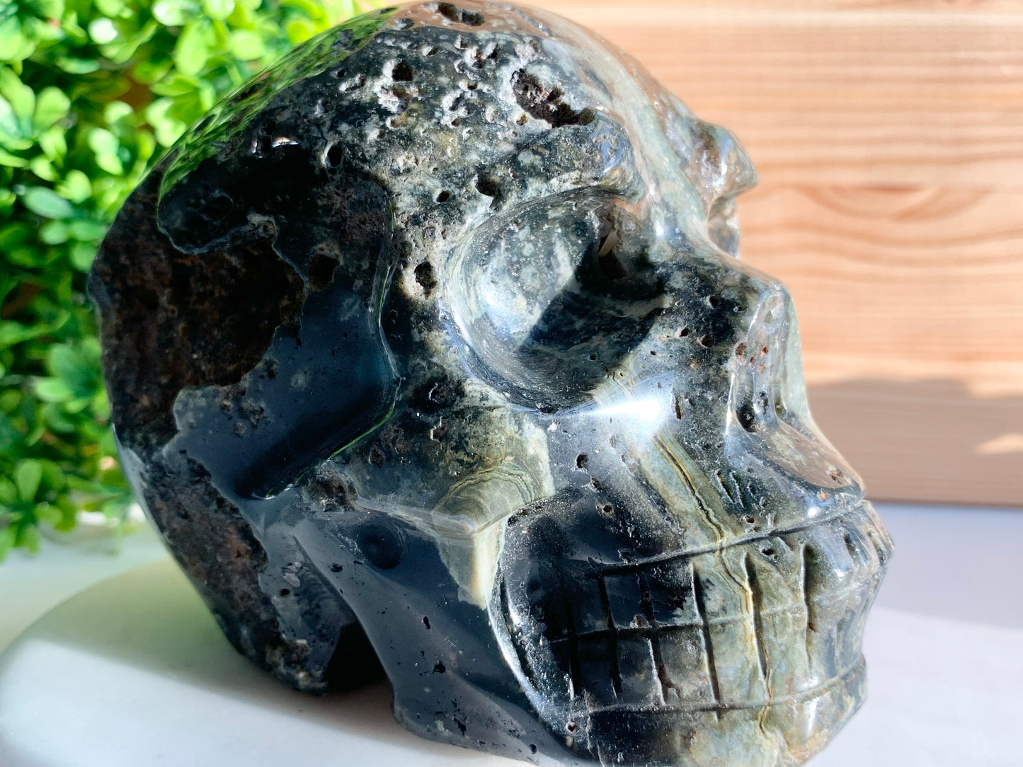 Ocean Jasper Skull