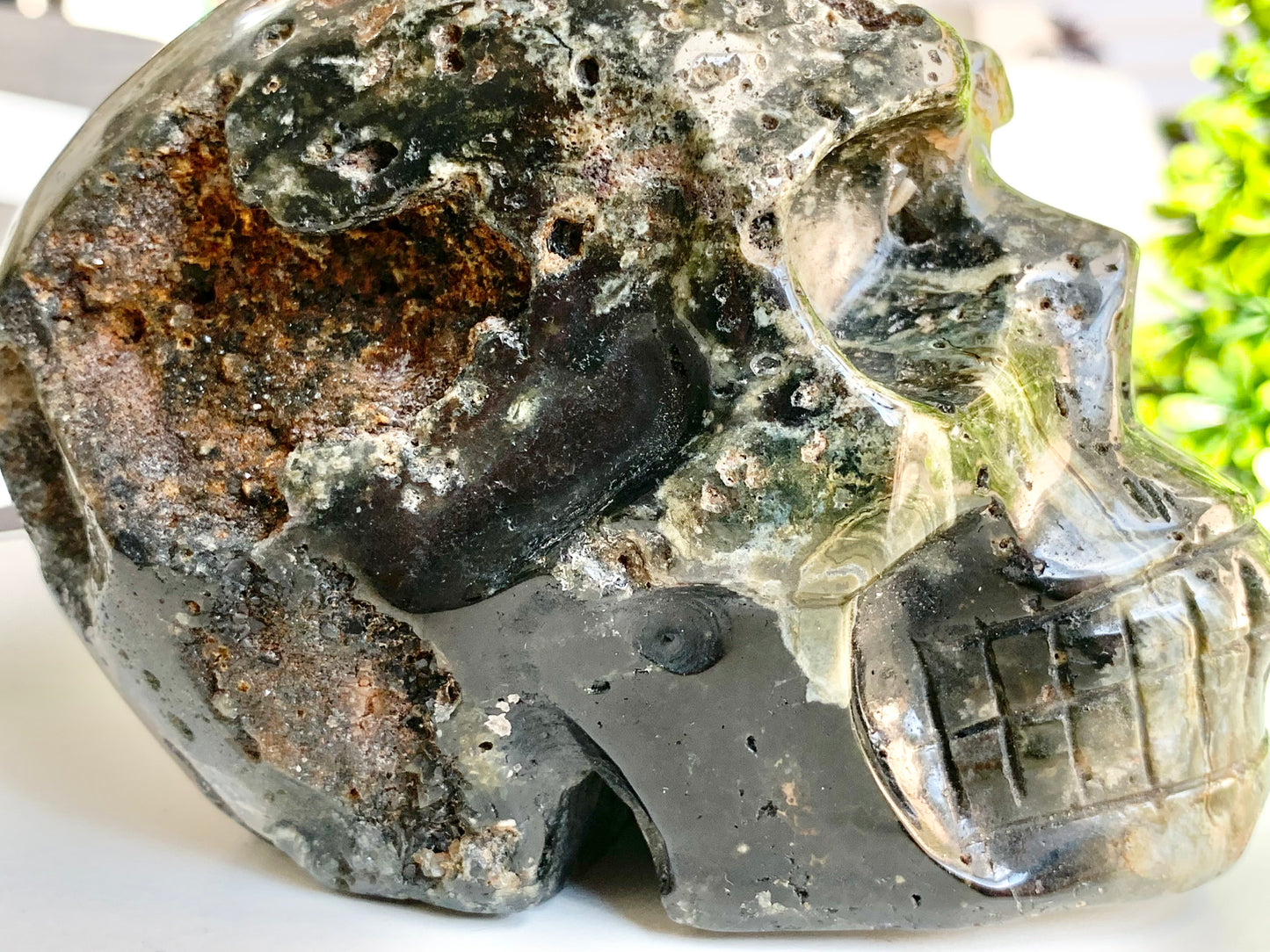 Ocean Jasper Skull