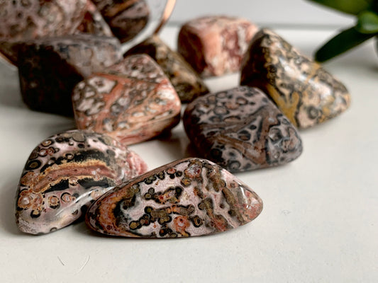 Leopardskin Jasper